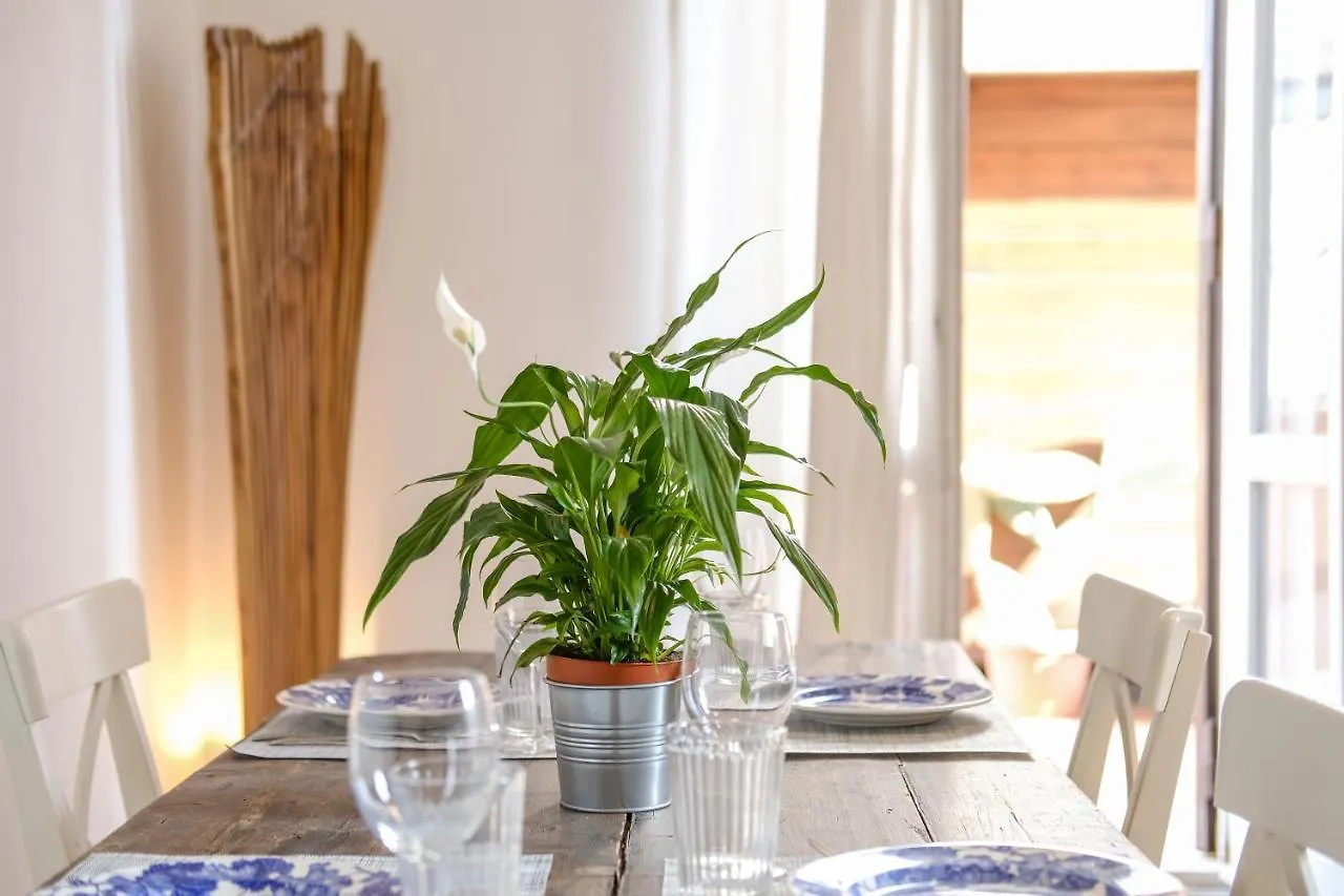 Spacious Apartment With Big Terrace At Colosseum Rome Italy